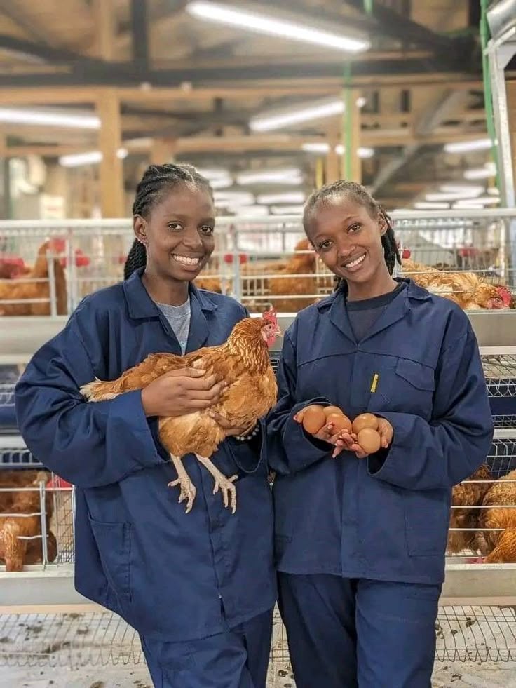 Modern agricultural operations